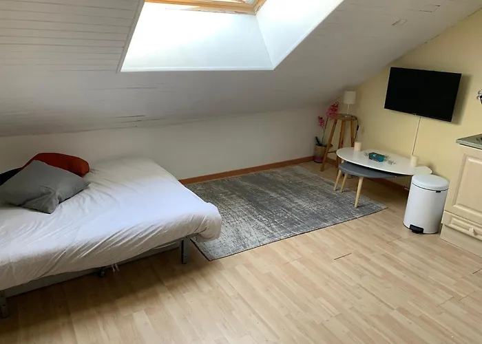 STUDIO SPACIEUX remis a neuf Sur Pistes